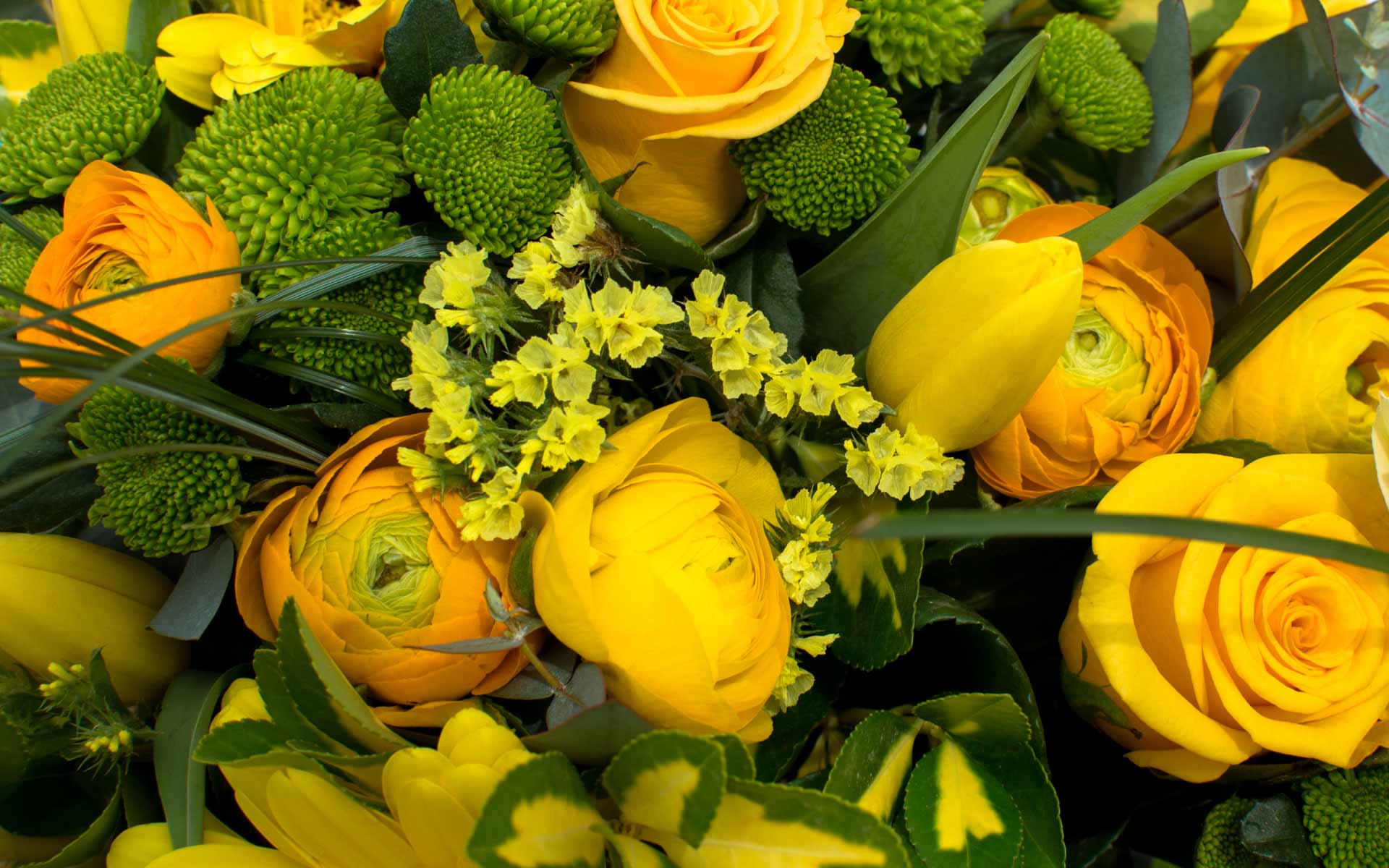 Κίτρινα άνθη, τουλίπες - Πανταζή